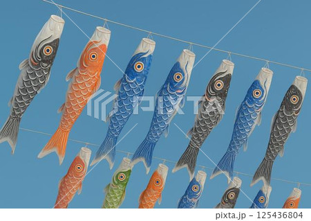 青空　鯉のぼり 125436804