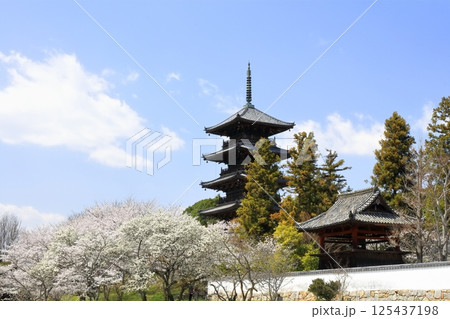 【岡山県】桜咲く春の備中国分寺（桜と五重塔） 125437198
