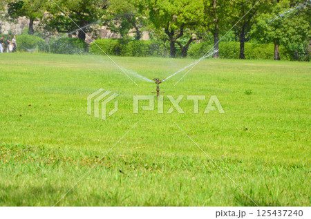 スプリンクラーによる芝生への水やり（大阪城　西の丸庭園） 125437240