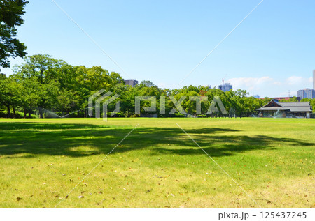 大阪城 西の丸庭園の風景 大阪城 西の丸庭園の風景 125437245