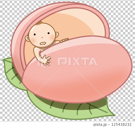 桃から生まれた桃太郎 桃から生まれた桃太郎 125438232