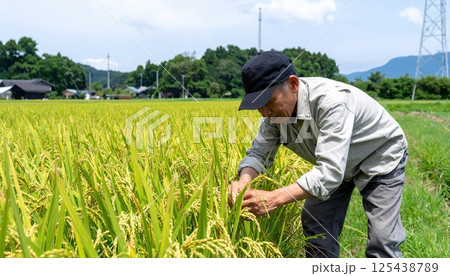 《AI画像》田舎の稲作風景 125438789