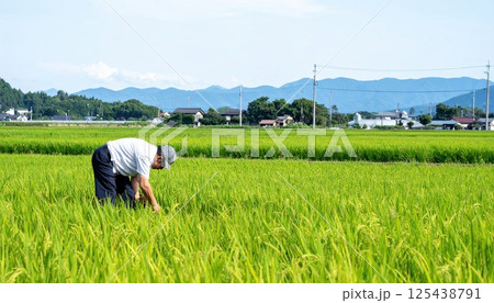 《AI画像》田舎の稲作風景 125438791