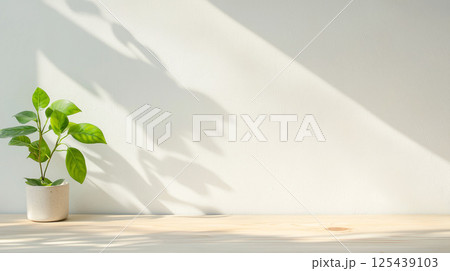光が差し込む部屋に置かれた観葉植物 125439103