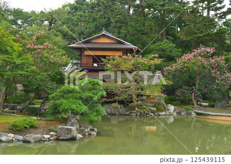 京都御苑 夏の九条邸跡 拾翠亭 京都御苑 夏の九条邸跡 拾翠亭 125439115