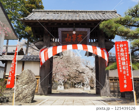 山梨県　山門と満開の桜　4月 125439126