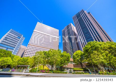 日本の東京都市景観 4月・新緑の官庁街・霞が関の文部科学省や霞が関ビルなどを望む 125439343