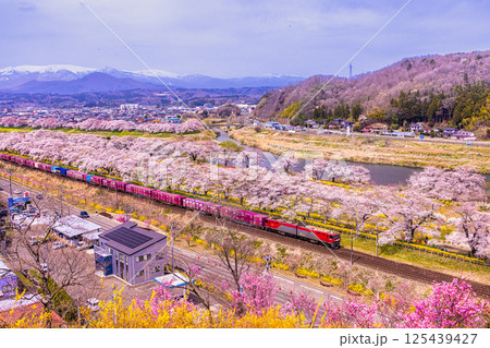 【宮城県_白石川堤一目千本桜】樅ノ木は残った展望デッキからの眺め 【宮城県_白石川堤一目千本桜】樅ノ木は残った展望デッキからの眺め 125439427