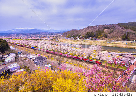 【宮城県_白石川堤一目千本桜】樅ノ木は残った展望デッキからの風景 125439428