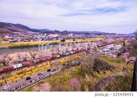 【宮城県_白石川堤一目千本桜】樅ノ木は残った展望デッキからの風景 125439431