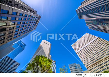 日本の東京都市景観 4月・新緑の官庁街・霞が関の文部科学省や霞が関ビルなどを望む 125439462