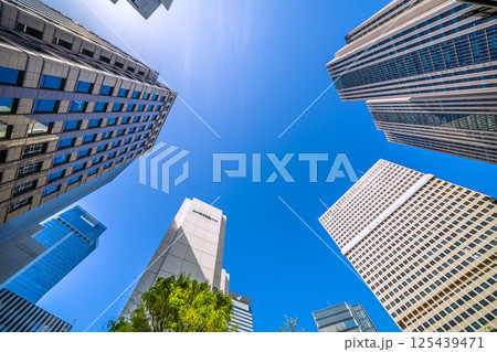 日本の東京都市景観 4月・新緑の官庁街・霞が関の文部科学省や霞が関ビルなどを望む 125439471