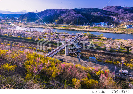 【宮城県_船岡城址公園】樅ノ木は残った展望デッキからの眺め 【宮城県_船岡城址公園】樅ノ木は残った展望デッキからの眺め 125439570