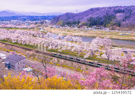 【宮城県_船岡城址公園】樅ノ木は残った展望デッキからの眺め 【宮城県_船岡城址公園】樅ノ木は残った展望デッキからの眺め 125439572