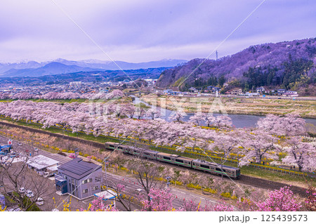 【宮城県_船岡城址公園】樅ノ木は残った展望デッキからの眺め 125439573