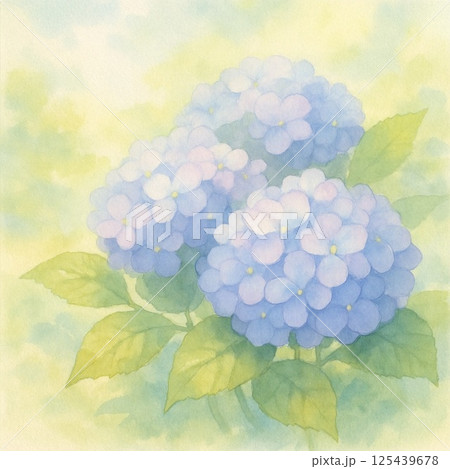 満開な紫陽花の花束 満開な紫陽花の花束 125439678