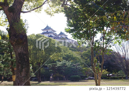 公園から眺めた和歌山城天守 125439772