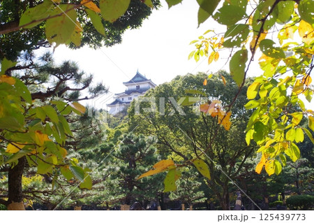 公園から眺めた和歌山城の天守 125439773