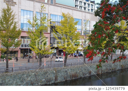 和歌山城堀端の紅葉 125439779