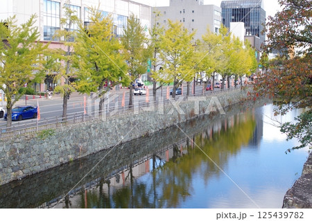 和歌山城堀端の銀杏並木の景色 125439782