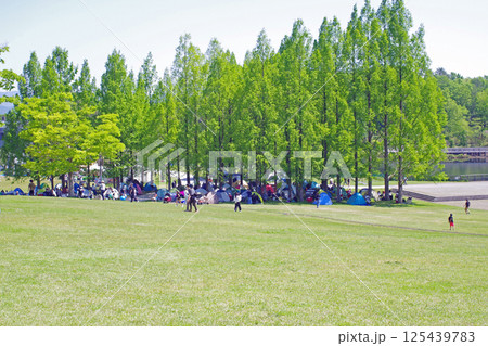 備北丘陵公園の大芝広場の景色 125439783