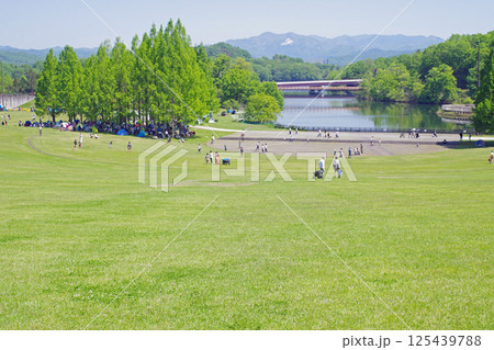 備北丘陵公園の大芝広場の景色 備北丘陵公園の大芝広場の景色 125439788