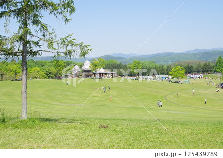 備北丘陵公園の大芝広場の景色 備北丘陵公園の大芝広場の景色 125439789