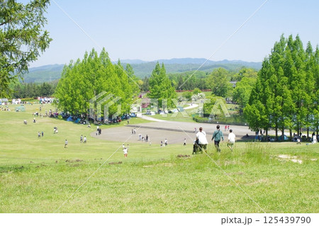 備北丘陵公園の大芝広場の景色 備北丘陵公園の大芝広場の景色 125439790