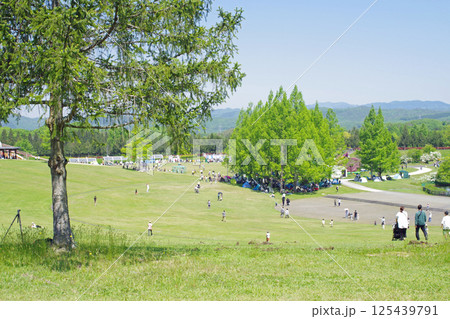 備北丘陵公園の大芝広場の景色 備北丘陵公園の大芝広場の景色 125439791