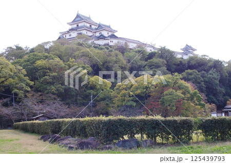 公園から眺めた和歌山城の景色 125439793