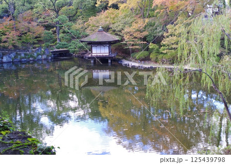 和歌山城公園紅葉渓公園の景色 125439798