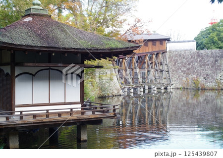 和歌山城公園紅鳶魚閣の景色 125439807