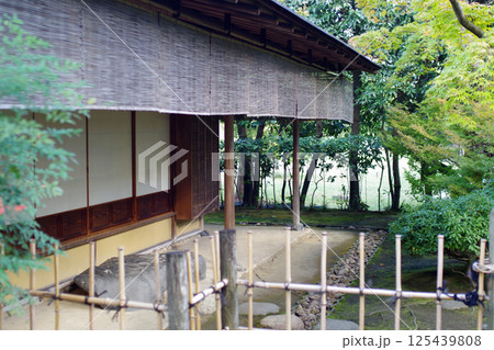 和歌山城公園紅松庵の露地の景色 125439808