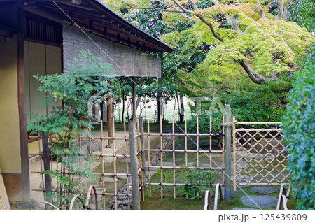 和歌山城紅葉渓庭園紅葉庵の景色 125439809