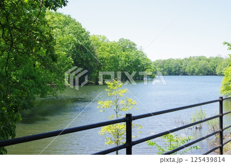 備北丘陵公園国兼池の景色 125439814