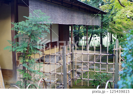 和歌山城公園紅松庵の景色 和歌山城公園紅松庵の景色 125439815