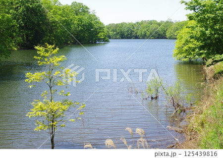 備北丘陵公園国兼池の景色 備北丘陵公園国兼池の景色 125439816