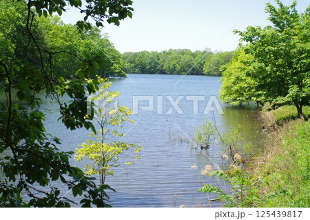 備北丘陵公園国兼池の景色 備北丘陵公園国兼池の景色 125439817