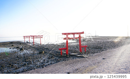 海中鳥居、佐賀県太良町の大魚神社 海中鳥居、佐賀県太良町の大魚神社 125439995