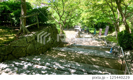 唐津城の城内風景 125440229