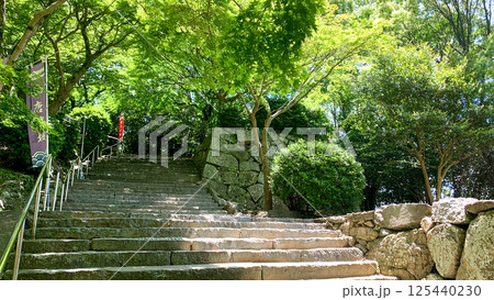 唐津城の城内風景 125440230