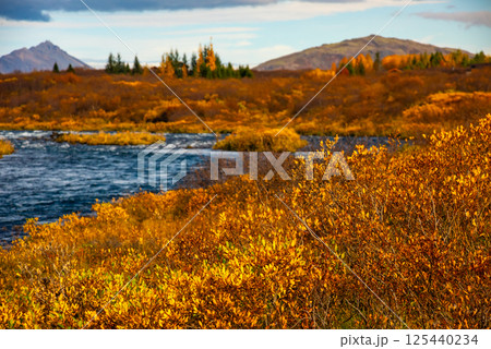 Autumn landscape features a river flowing through a forest filled with vibrant fall foliage in Iceland. The scene includes colorful trees, calm water, and distant mountains under a cloudy sky Autumn landscape features a river flowing through a forest filled with vibrant fall foliage in Iceland. The scene includes colorful trees, calm water, and distant mountains under a cloudy sky 125440234