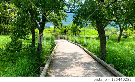 阿蘇くじゅう国立公園のタデ原湿原 阿蘇くじゅう国立公園のタデ原湿原 125440285