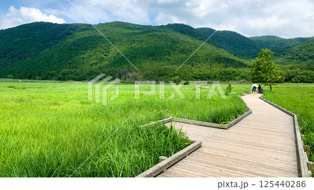 阿蘇くじゅう国立公園のタデ原湿原 阿蘇くじゅう国立公園のタデ原湿原 125440286