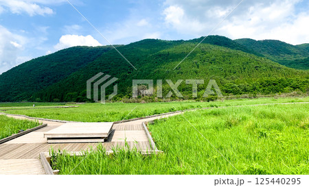 阿蘇くじゅう国立公園のタデ原湿原 阿蘇くじゅう国立公園のタデ原湿原 125440295