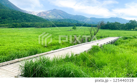阿蘇くじゅう国立公園のタデ原湿原 阿蘇くじゅう国立公園のタデ原湿原 125440319