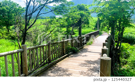 阿蘇くじゅう国立公園のタデ原湿原 阿蘇くじゅう国立公園のタデ原湿原 125440327