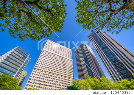 日本の東京都市景観 4月・新緑の官庁街・霞が関の文部科学省や霞が関ビルなどを望む 日本の東京都市景観 4月・新緑の官庁街・霞が関の文部科学省や霞が関ビルなどを望む 125440353