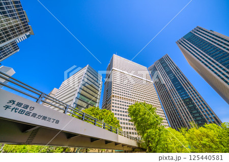 日本の東京都市景観 4月・新緑の官庁街・霞が関の文部科学省や霞が関ビルなどを望む 日本の東京都市景観 4月・新緑の官庁街・霞が関の文部科学省や霞が関ビルなどを望む 125440581