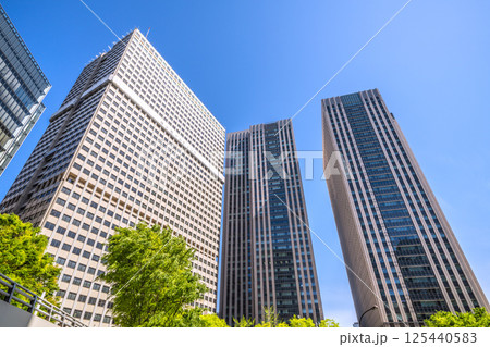 日本の東京都市景観 4月・新緑の官庁街・霞が関の文部科学省や霞が関ビルなどを望む 125440583